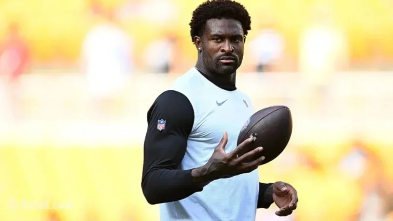 Steelers’ DK Metcalf Confronts Fan in Sideline Altercation Against Lions