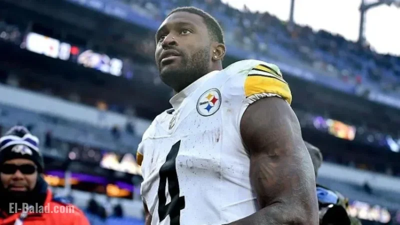 Steelers’ Metcalf Allegedly Punches Fan in Game Incident