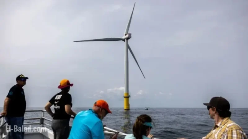 Trump Halts Offshore Wind Farms, Risking Jobs and Affordable Energy