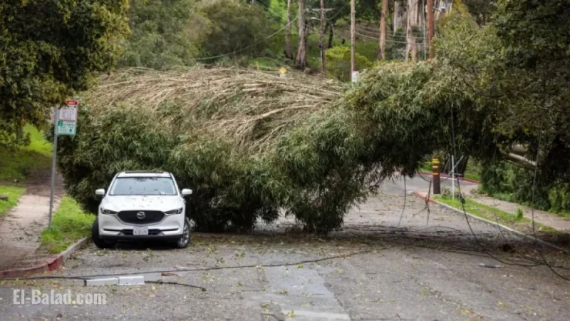 Berkeley Prepares for Intense Rain and Hazardous Winds
