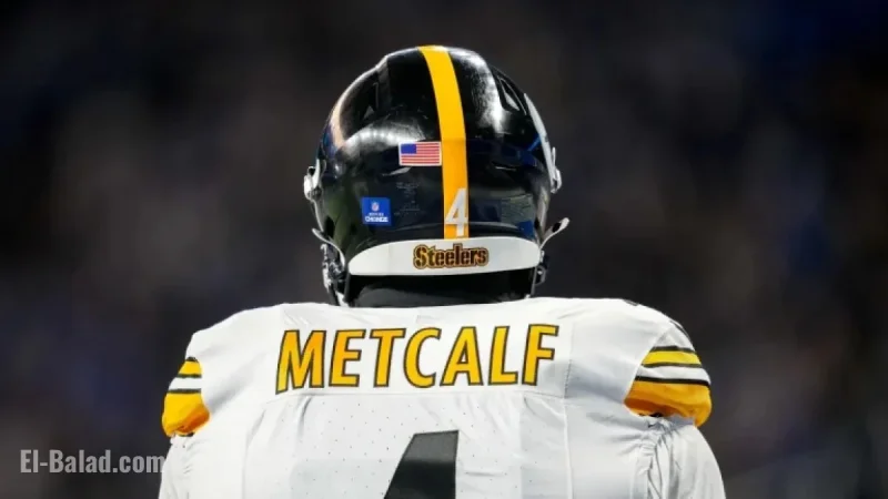 NFL Suspends DK Metcalf for Two Games After Fan Incident