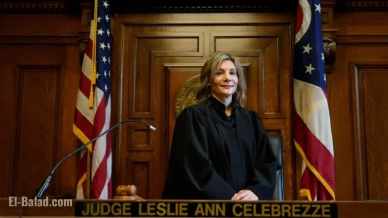Judge Leslie Ann Celebrezze Resigns Amid Felony Charge