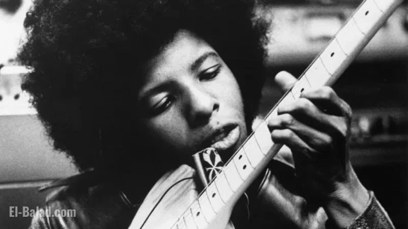 Remembering the Musicians We Lost: NPR Tribute