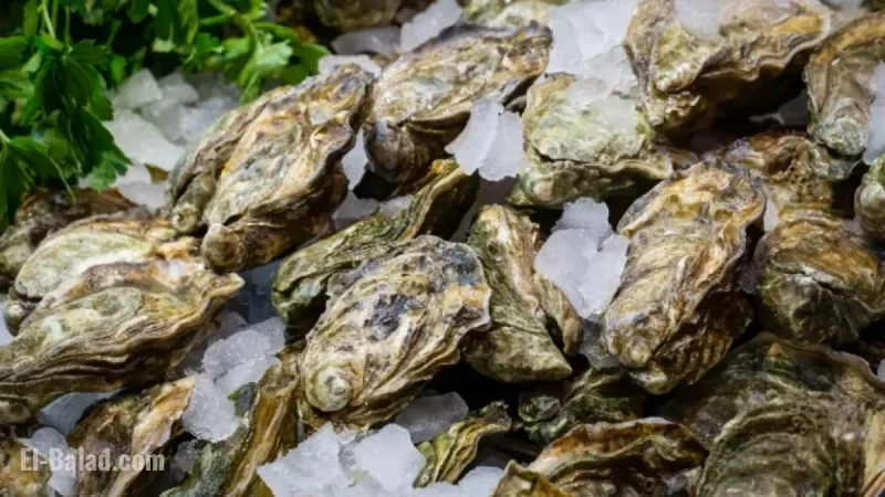Marylander Sickened in Multi-State Salmonella Outbreak Linked to Raw Oysters