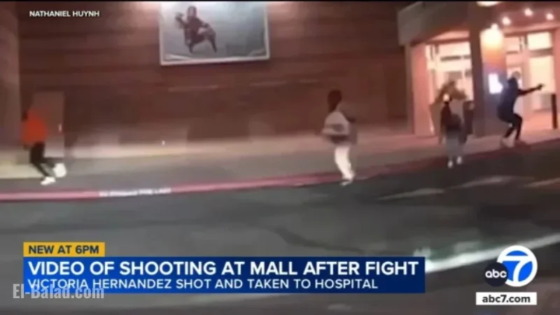 Teen Injured in Shooting After Fight at San Bernardino Mall