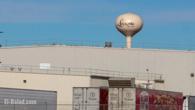 Tyson Foods Closure Spurs $3.3 Billion Annual Economic Losses: UNL Report