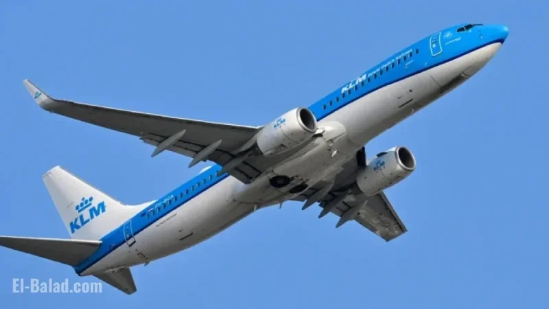 Virginia Family Sues Delta, KLM Over In-Flight Bedbug Attack