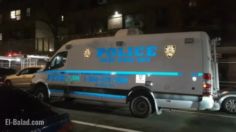 76-Year-Old Woman Found Beaten to Death; Son Arrested in NYC Apartment