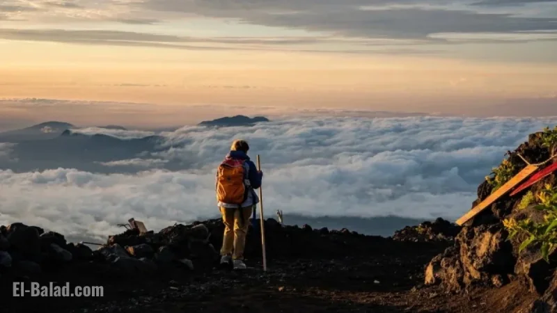 Ascending Mount Fuji: Discover Udon Noodles at 12,000 Feet