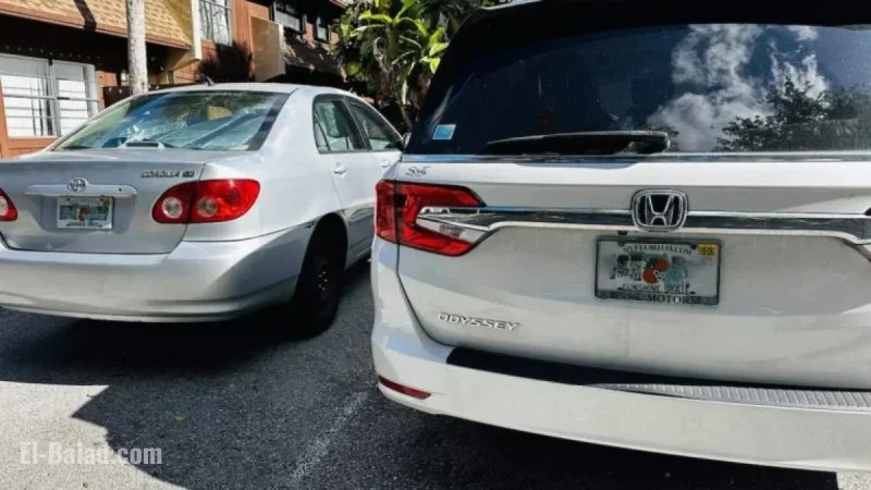 Florida License Plate Law Triggers Immigration Detentions, Wrongful Arrests