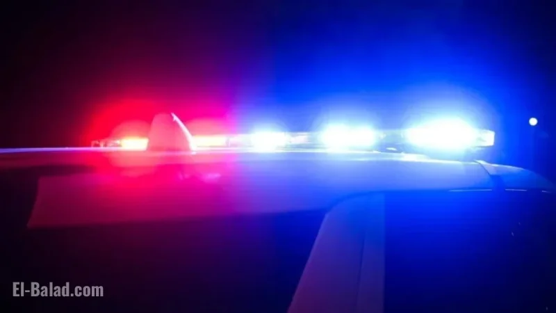 Fowlerville Homeowner Fatally Shoots Armed Intruder