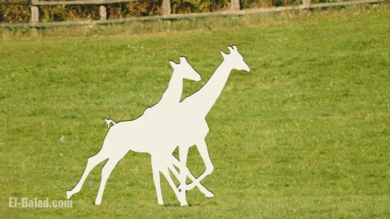 Alicia Silverstone Leads Call for Answers on Missing Baby Giraffes