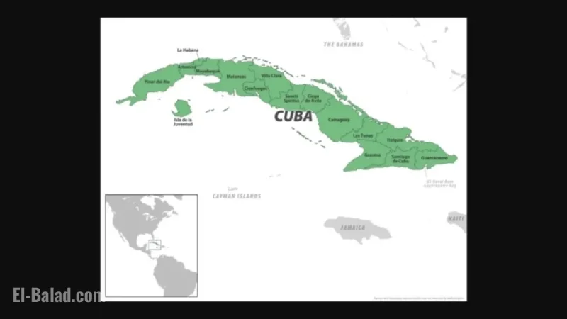 Chikungunya Fever Affects 44 More Florida Visitors