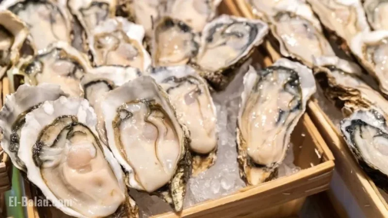 Salmonella Outbreak from Raw Oysters Affects 22 States, Including SC