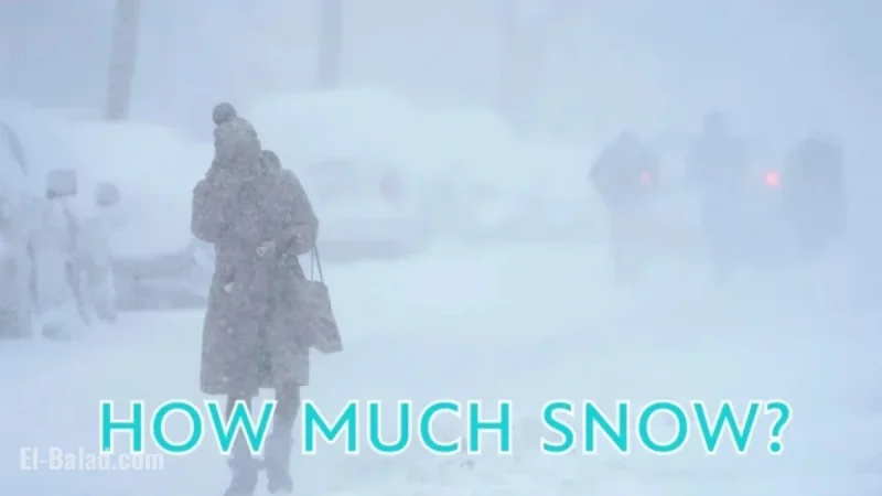 Winter Storm 12/26/25: NYC, NY, NJ, CT Snowfall Totals Revealed