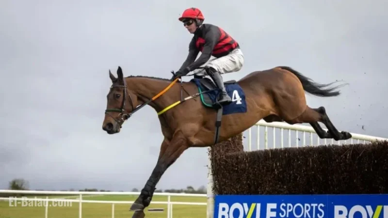 Affordable Fury and Sam Ewing Stun in Savills Chase, Defeating Galopin Des Champs