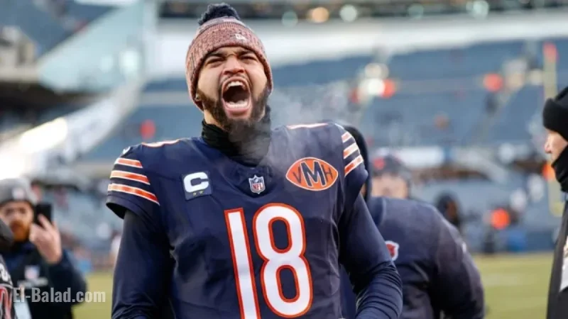 Bears Secure NFC North Title After Packers’ Defeat