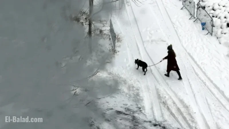 ‘Bomb Cyclone to Unleash Heavy Snow, Blizzard, and Hazardous Travel’