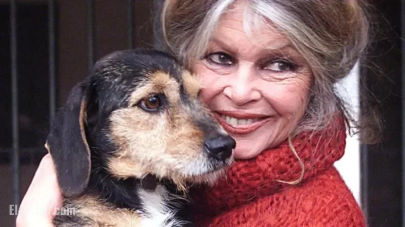 Brigitte Bardot Dedicates Her Second Act to Animal Advocacy