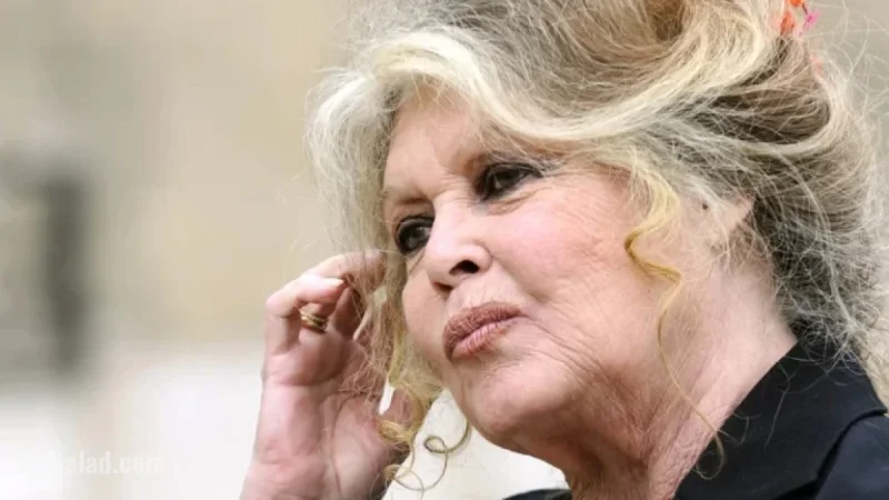 Brigitte Bardot Passes Away at 91 (1934-2025)