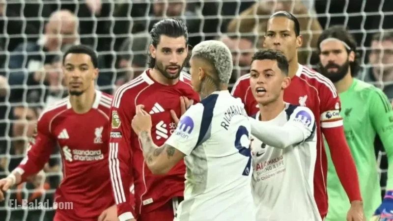 Former PGMOL Chief: Richarlison Faced Potential Red Card Against Liverpool