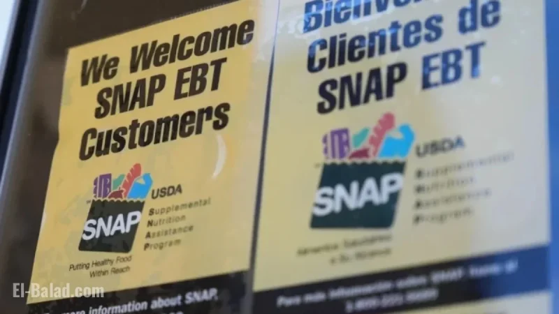 How to Appeal SNAP Benefit Losses