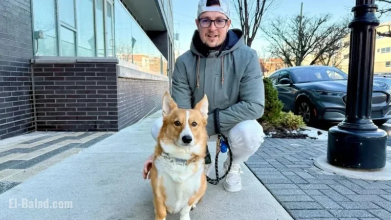 PETA Calls on Delaware to Implement Dog-Walking Mandate