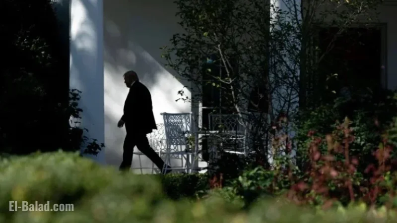 Republicans Urged to Plan for 2028 in Post-Trump Era