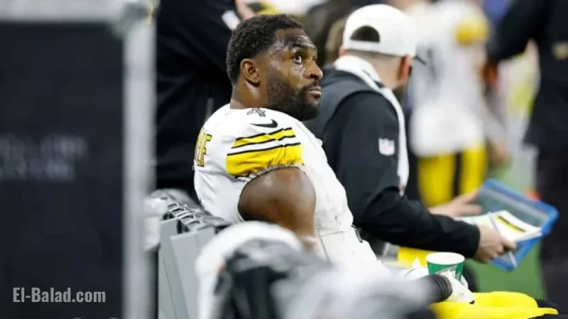 Steelers’ DK Metcalf Suspended Two Games for Fan Altercation vs. Lions