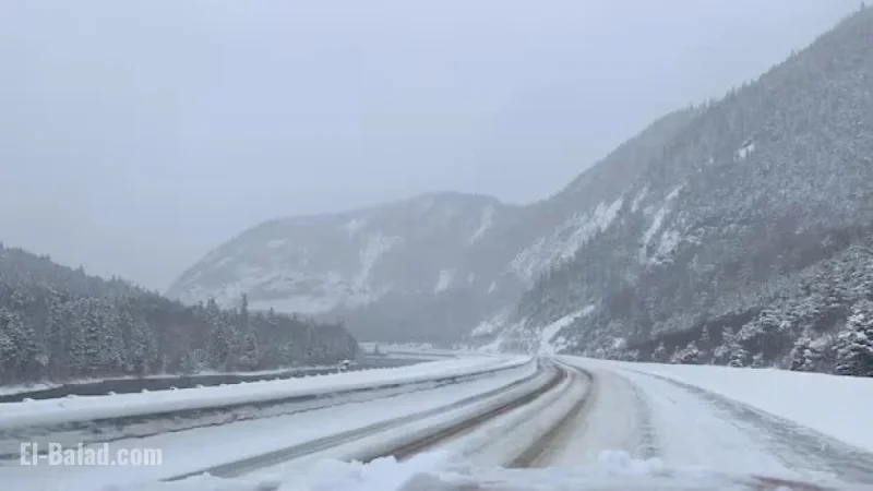 Winter Storms Slam N.L. with Heavy Snow and High Winds