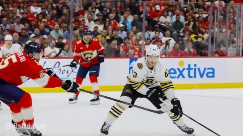 Ex-Boston Bruins Winger Placed on Waivers