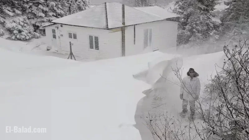 Holiday Storms Blanket Parts of N.L. in Heavy Snow