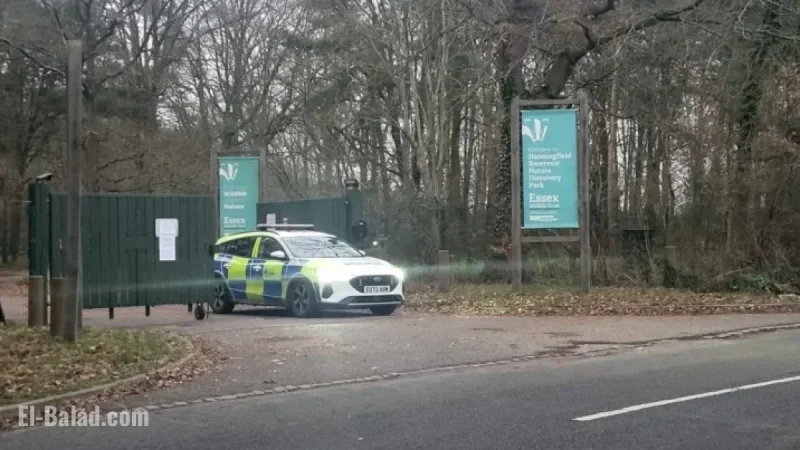 Incident Forces Closure of Essex Beauty Spot to Visitors
