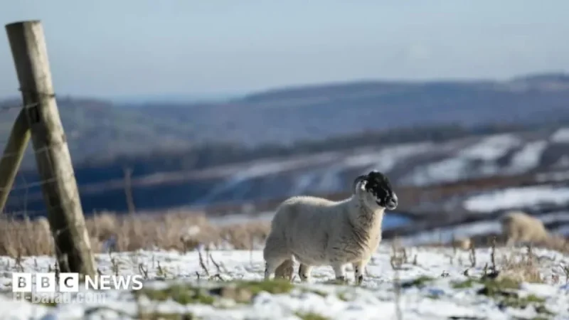 New Year Cold Snap Prompts Amber Health Alerts