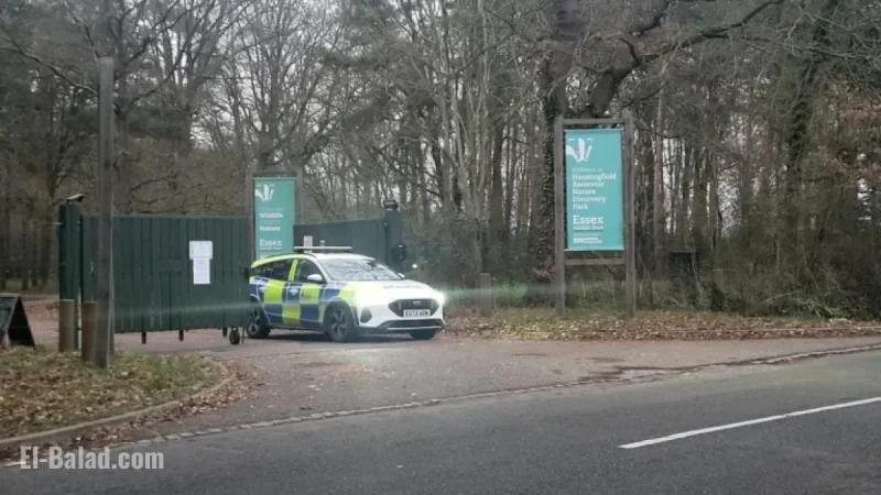 Police Respond to Major Incident Following Plane Crash Reports