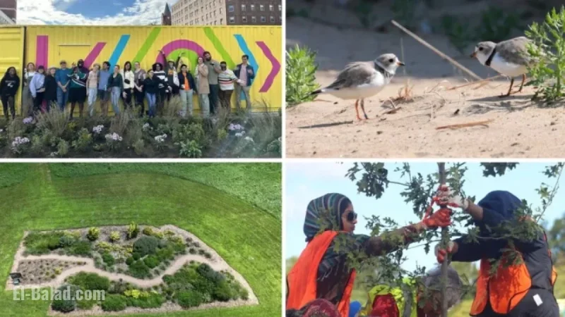 Readers Highlight Local Eco-Friendly Community Projects