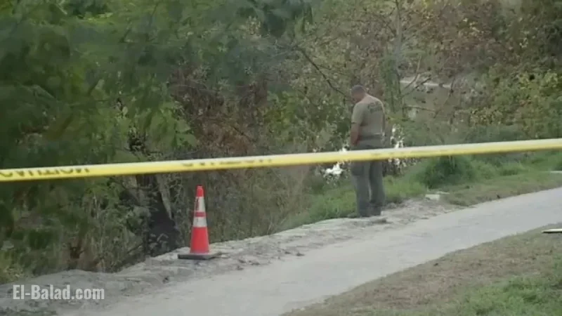 Rumors Debunked: Experts Confirm False Claims on Houston Bayou Bodies