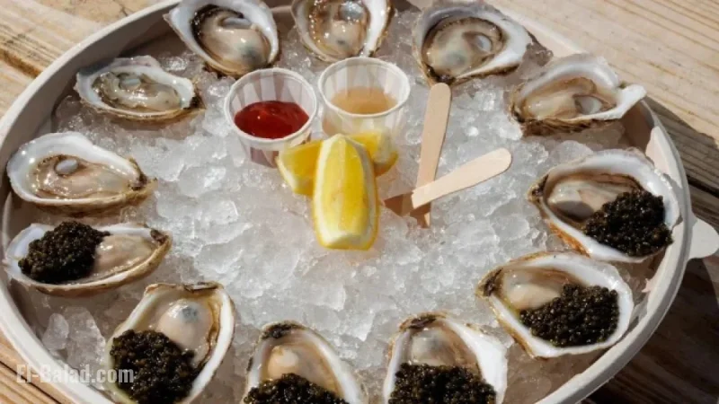 Salmonella Outbreak Tied to Raw Oysters Across Multiple States