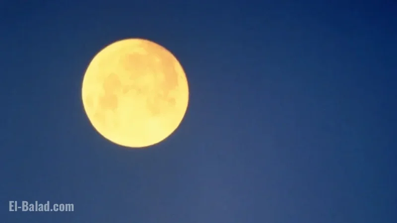Wolf Moon on January 3, 2026: 4 Zodiac Signs Greatly Affected