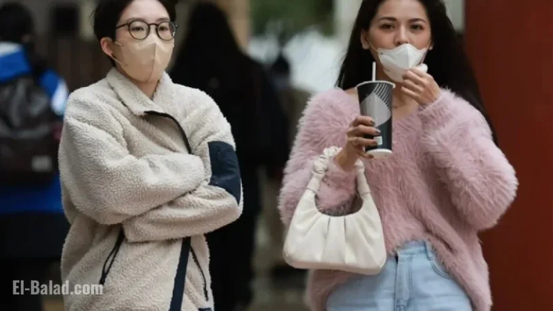 Wu Daren: Strongest Winter Cold Snap Hits New Year, Temperature Drops to 7°C