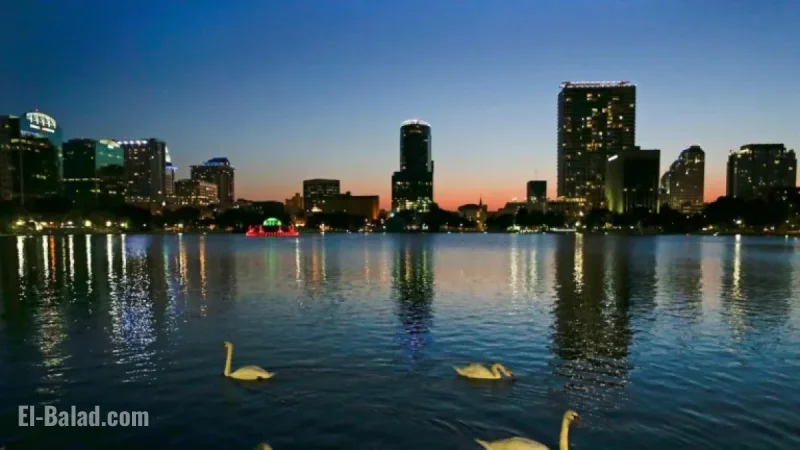Bird Flu Suspected as 12 Swans Die at Orlando’s Lake Eola