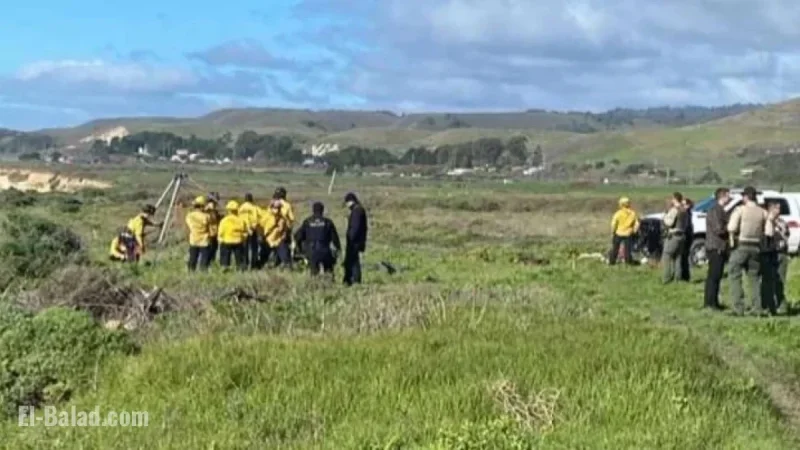California Swimmer Found Dead, Suspected Shark Attack Victim