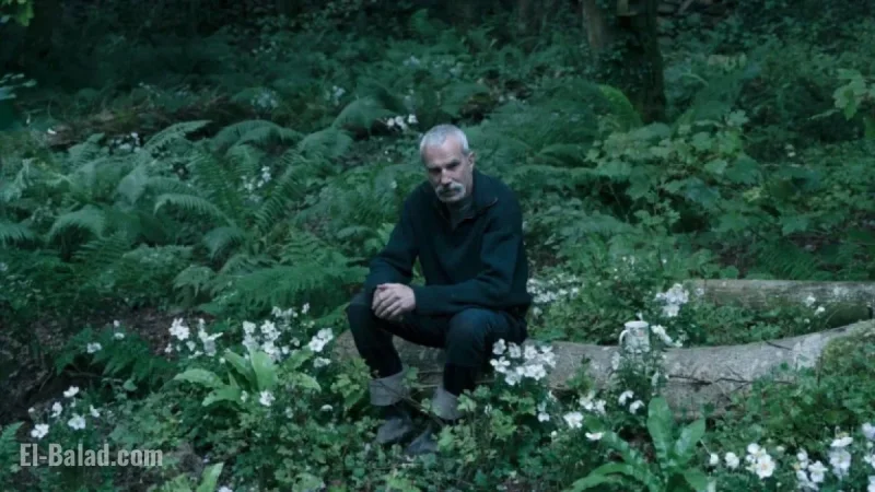 Daniel Day-Lewis Retires, Son Launches Promising Career