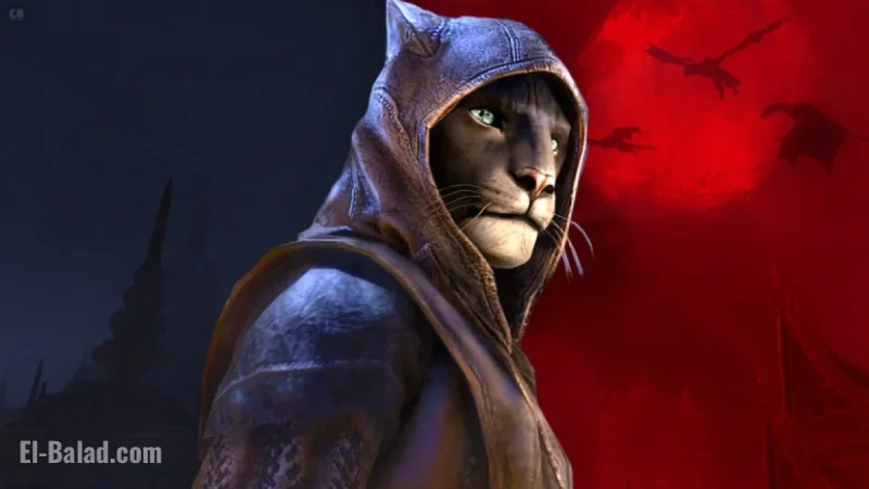 Elder Scrolls 6 Release Date Update Revealed