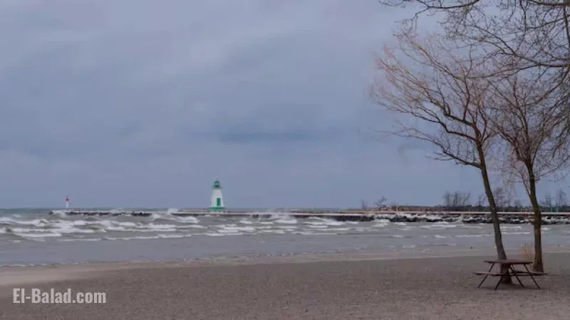 High Winds Leave Hundreds Facing Power Outages in Niagara and Hamilton