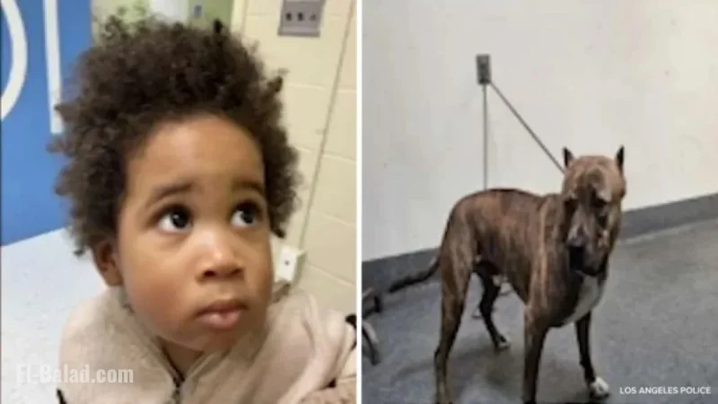 Los Angeles Police Seek Public’s Help Identifying Boy Found in Stolen Car