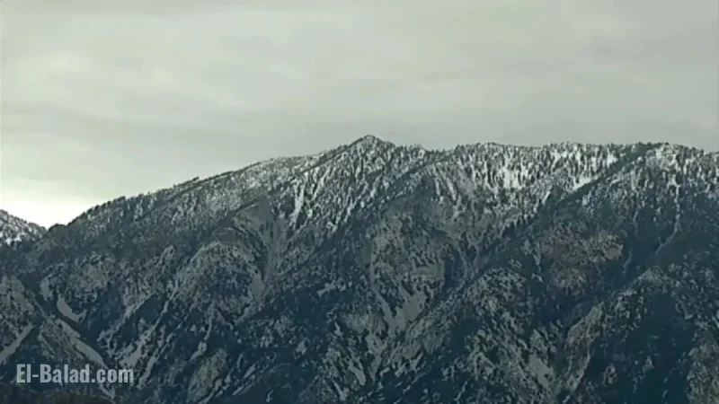 Sheriff Reports 3 Hikers, Including Teen, Found Dead on Mount Baldy
