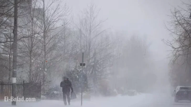 Toronto Braces for Strong Winds and Cold Snap Following Heavy Rainstorm