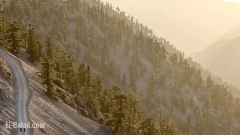 Tragedy on Mt. Baldy: Harsh Weather Impedes Recovery of Hikers’ Bodies