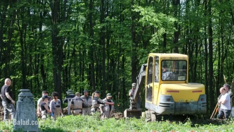 Ukraine Announces Decision on UPA Victims Search in Puźniki